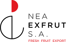 Νέα Exfrut